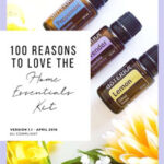 100 Uses Essentials Kit